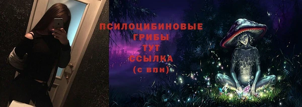 твердый Богданович