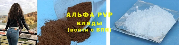 твердый Богданович
