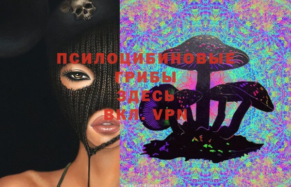 бошки Богородск