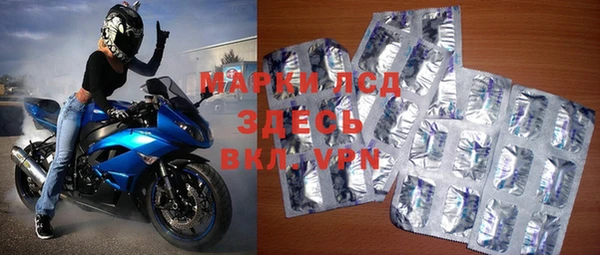 твердый Богданович